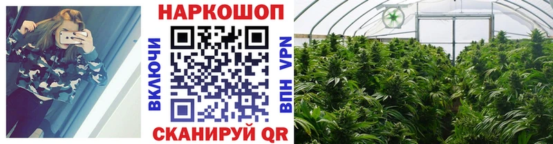 Наркошоп купить Псилоцибиновые грибы А ПВП Меф ГАШИШ Каннабис Cocaine АМФ Аркадак