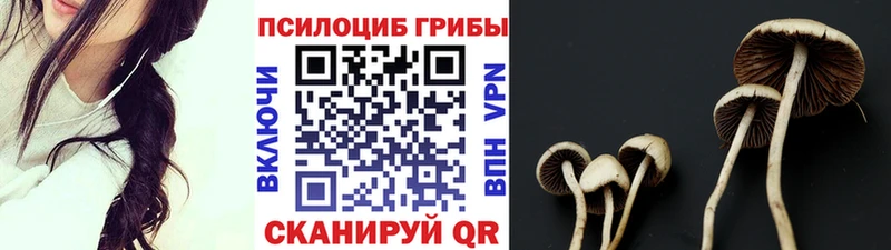 Псилоцибиновые грибы прущие грибы  Купить  Аркадак 